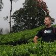Kerala...cajova plantaz